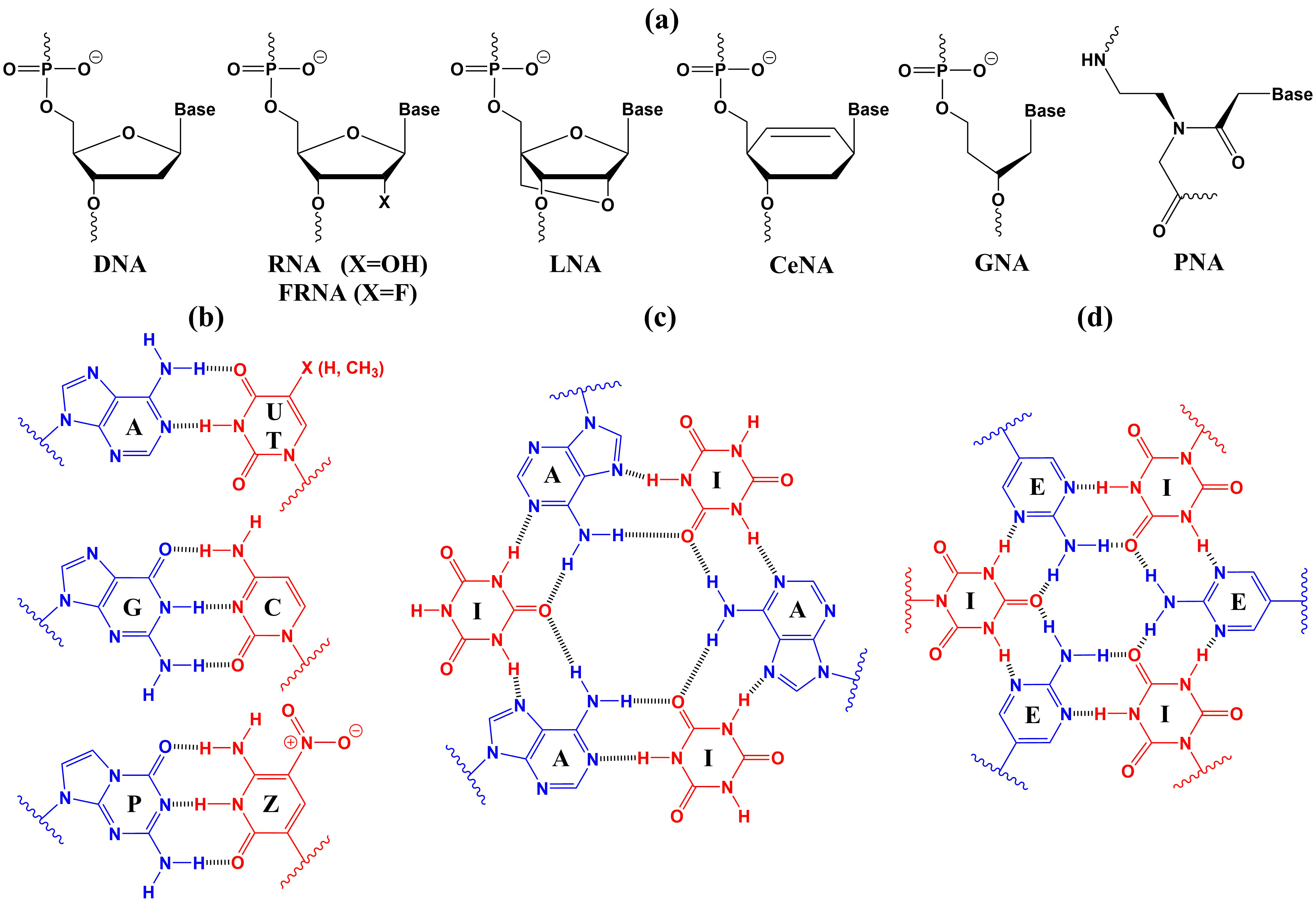 nucleic acid backbone